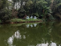 -蜀南竹海景区