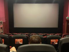 -华谊兄弟影院(IMAX洋桥店)