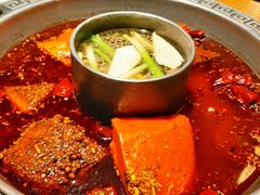 -杨肥肠火锅大排档(火车站花园店)