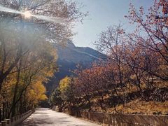 -白草畔自然风景区