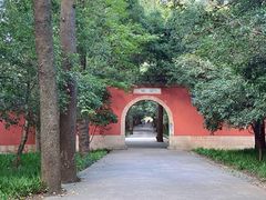 -灵谷景区