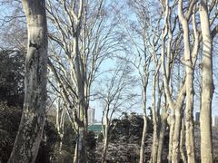 -武汉大学-樱园