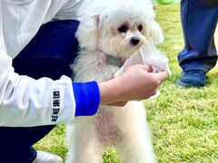 -上海神旺大酒店