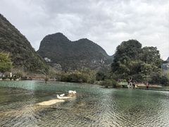 -靖西鹅泉风景区