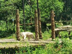 -贵州森林野生动物园
