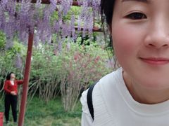 -嘉定紫藤园