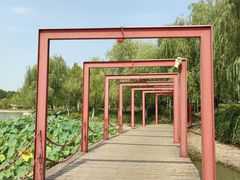 -天鹅湖体育公园