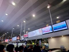 -谢列梅捷沃国际机场
