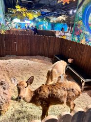 -长沙云顶星河游乐园(步步高·梅溪新天地店)