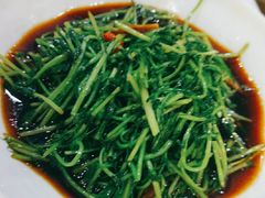 -丰收日(五角场店)