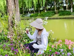 -上海鲜花港