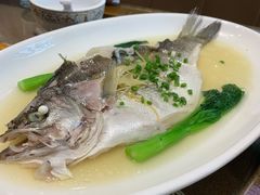 清蒸鲫鱼-瓦国小镇·果木烤鸭·融合菜(西口店)