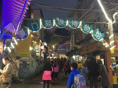 -猫咪博物馆(顶澳仔猫街店)