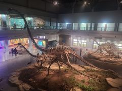 -自贡恐龙博物馆