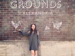 -The Grounds of Alexandria