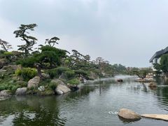 -罗红摄影艺术馆