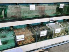 -秋姐美食店(旅游大道店)