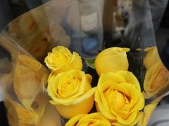 -循礼门鲜花花市(武汉循礼门店)