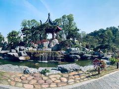 -东莞植物园