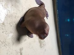 泉城极地海洋世界-泉城欧乐堡海洋极地世界