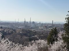 -白水寺森林公园