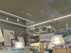 -Aqua Oasis 水天堂(常熟永旺店)