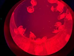 -沈阳海洋探索中心