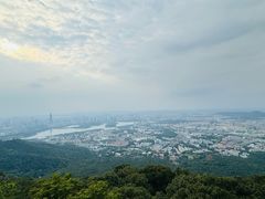 -紫金山山顶公园