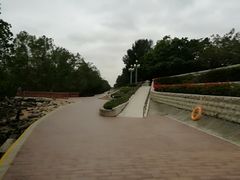 -宝安西湾红树林湿地公园