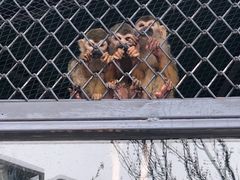 -长白岛森林公园