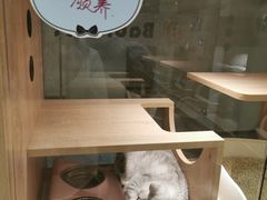 -BABIT巴比特宠物(MOMOPARK店)