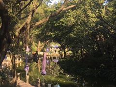 -人民公园(罗湖区)