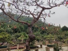 -中山詹园