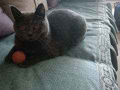 -肯德基(学院路店)