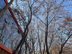 -西安电影制片厂