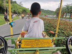 -野狸岛