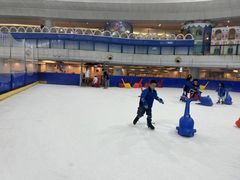 -世界之窗阿尔卑斯冰雪世界