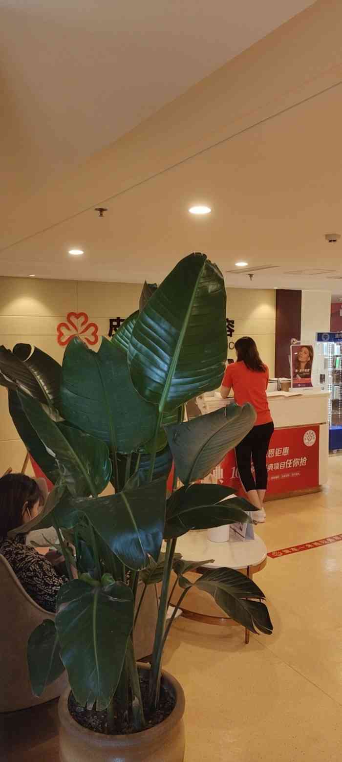 济宁壹美天成医疗美容医院-"【项目】小气泡美肤服务很好,团购比较便.