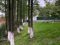 -艾溪湖湿地公园