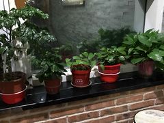 -金豆角砂锅焖面(安贞店)