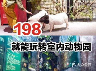 198元就能玩转室内动物园️