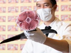 -御瀛日本料理