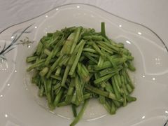 -天目馨缘