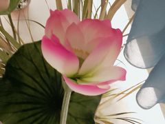 -荷塘秋月·本帮江浙菜(国权路店)