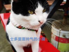 -梦幻奥陶纪景区