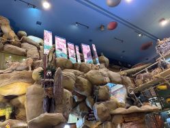 点击看大图 -卡通尼·Safari非洲探索乐园·生日会(金桥国际商业广场店)