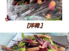 -荥清饭店