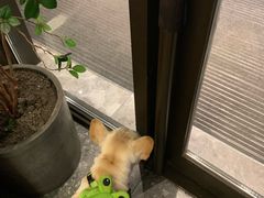 -奇滋豆味(南十四道街店)