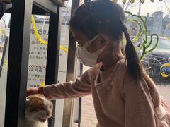 -平行世界·猫咖(首经贸店)