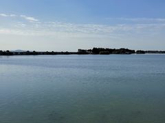 -贡湖湾湿地公园